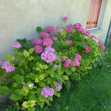 Maison Renovee Avec Cour Privee, Proche De Gannat, 3 Chambres, Animaux Acceptes, Equipements Modernes. - Fr-1-489-37 Poezat Zewnętrze zdjęcie