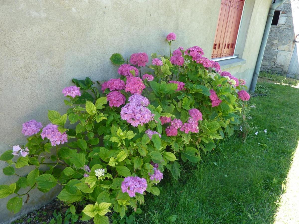 Maison Renovee Avec Cour Privee, Proche De Gannat, 3 Chambres, Animaux Acceptes, Equipements Modernes. - Fr-1-489-37 Poezat Zewnętrze zdjęcie